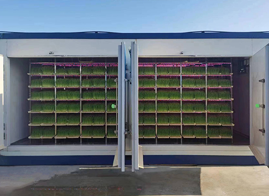 吉林春光集团牧草工厂